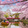 First-time Classic Japan Tour: Spring Season