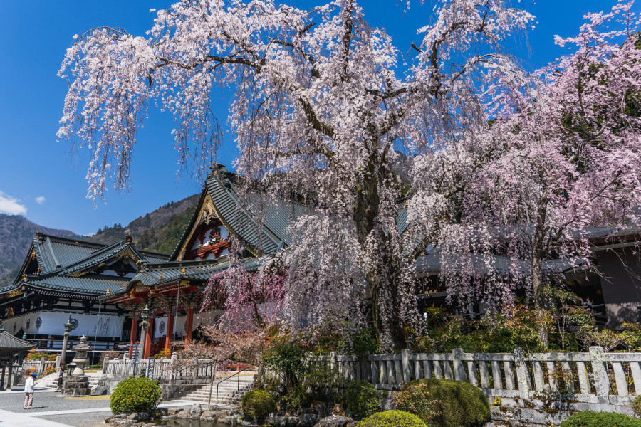 Thumbnail image of Minobu - Retreat at the Nichiren buddhist temple town with scenic Mt. Fuji and Japanese Alps views