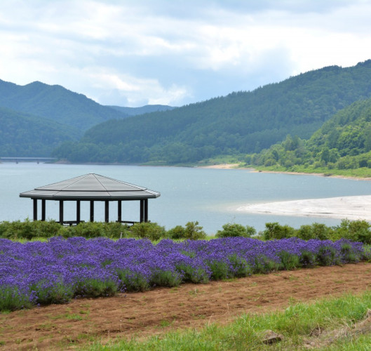 Lake Kanayama