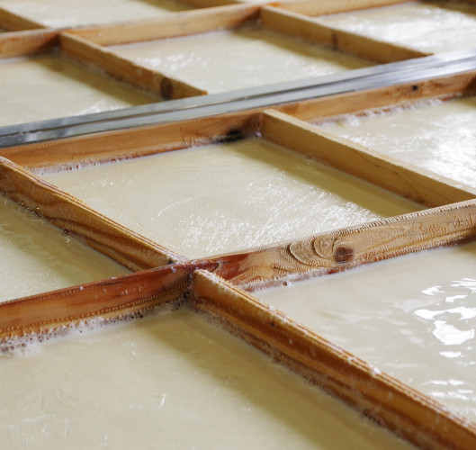 Machidaya Shirasawa: Tofu Factory Visit and Tasting