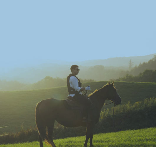 Heart Ranch Horseback Riding 