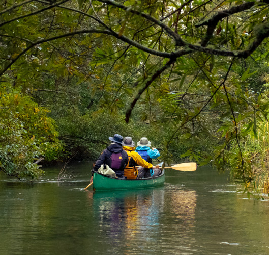 Canadian Canoeing on the Kushiro River