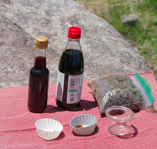 Local Wasabi and Soy Sauce Tasting Experience