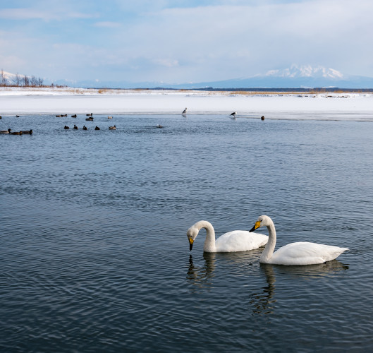Lake Tofutsu