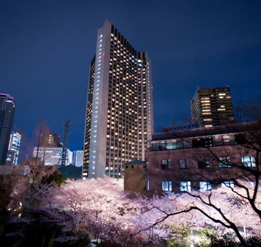 Ana Intercontinental Tokyo