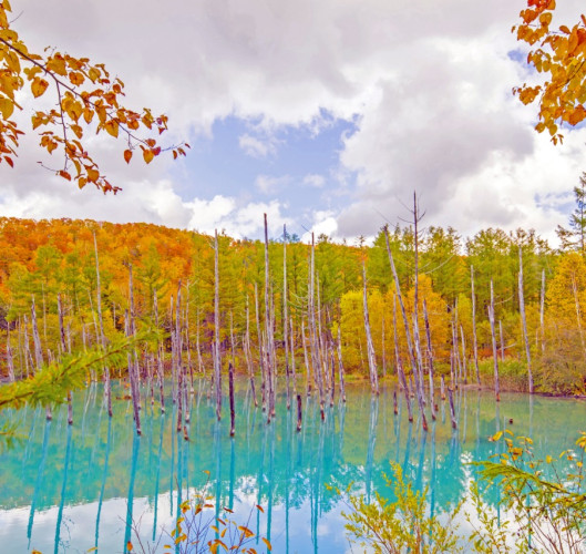Shirogane Blue Pond