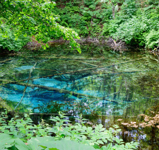 Kami No Ko Pond