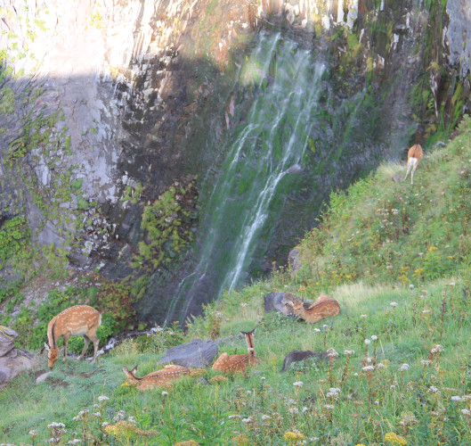 Furepe Falls