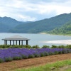 Image of 