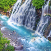 Image of 