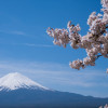 Image of 