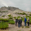 Image of 