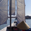 Image of 