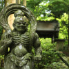 Image of 