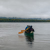Image of 