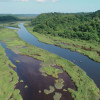 Image of 