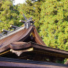 Image of 