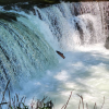 Image of 