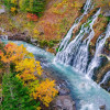 Image of 