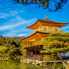Image of 