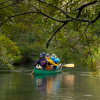 Image of 