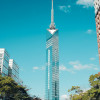 Image of 