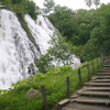 Image of 