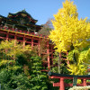 Image of 