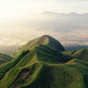 Image of 