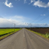 Image of 