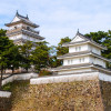 Image of 