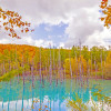 Image of 