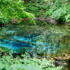 Image of 