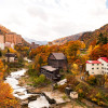 Image of 