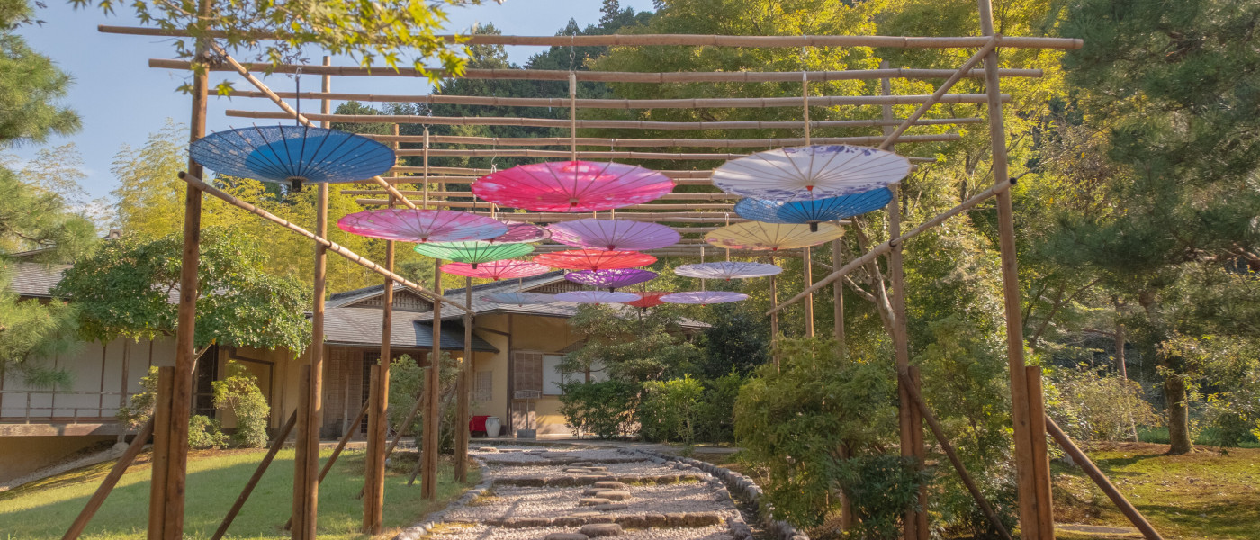 Miyoko Schinner: Japan Vegan Tour 2027 tour image