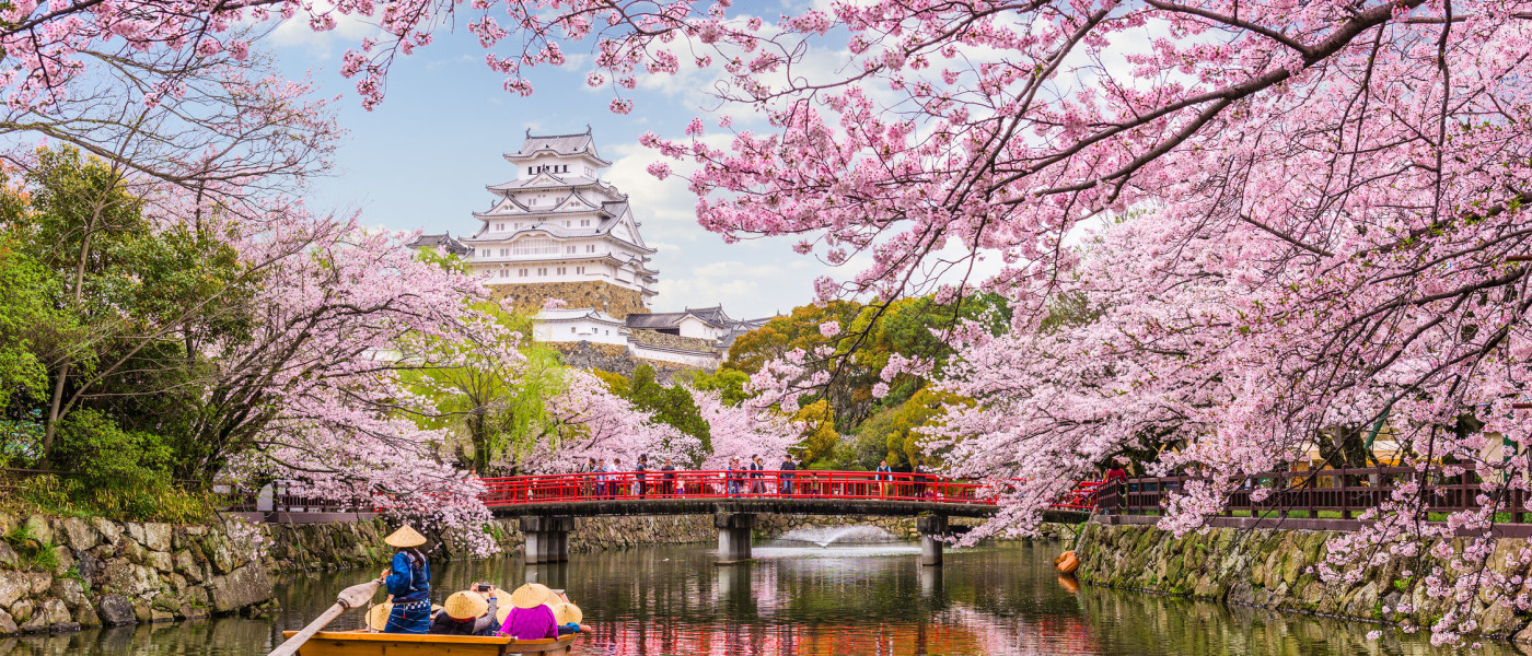 First-time Classic Japan Tour: Spring Season tour image