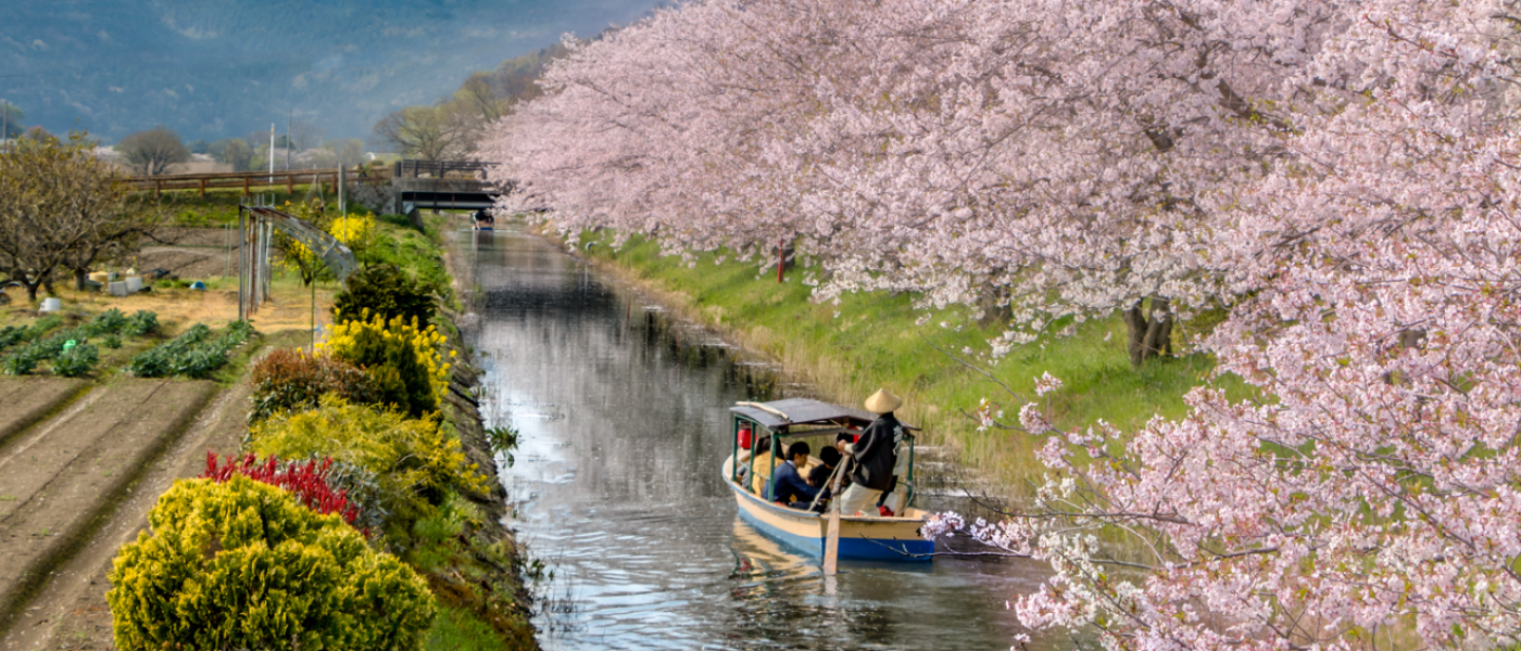Miyoko Schinner: Japan Vegan Tour 2026 tour image
