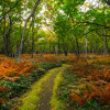 Hokkaido Autumn Small Group Tour | October 2026 | Max 7 People