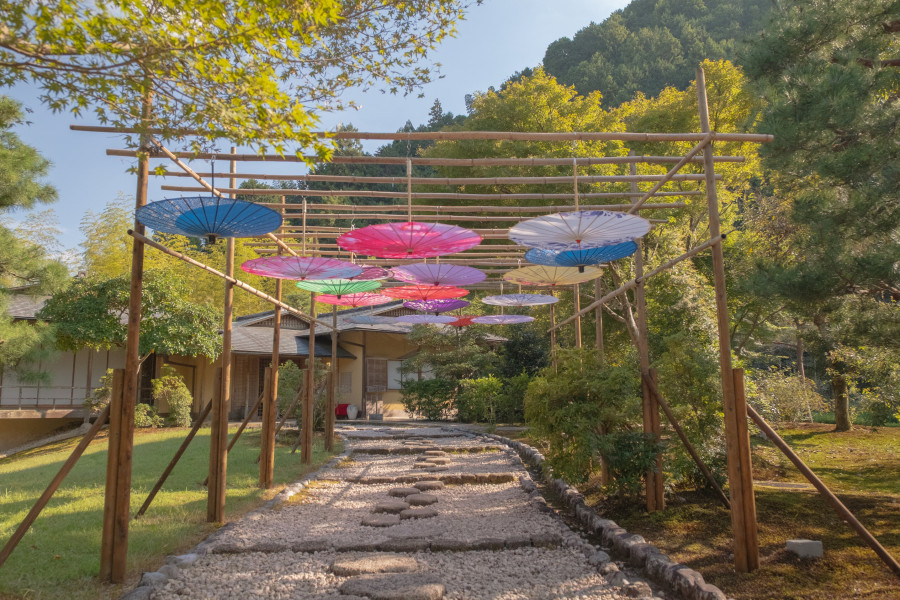 ptl.PACKAGE_THUMBNAIL